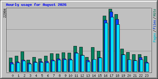 Hourly usage for August 2026
