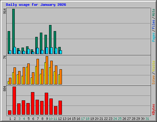 Daily usage for January 2026
