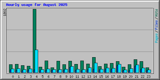 Hourly usage for August 2025
