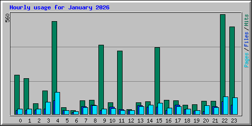Hourly usage for January 2026