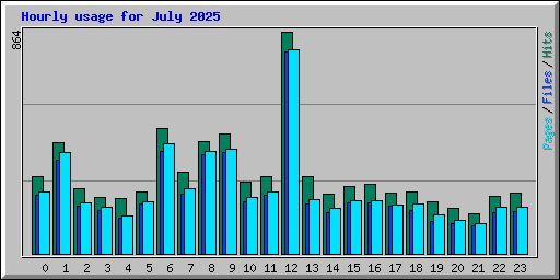 Hourly usage for July 2025