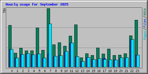 Hourly usage for September 2025
