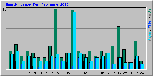 Hourly usage for February 2025