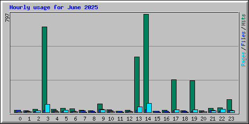Hourly usage for June 2025