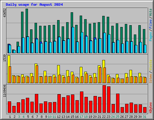 Daily usage for August 2024