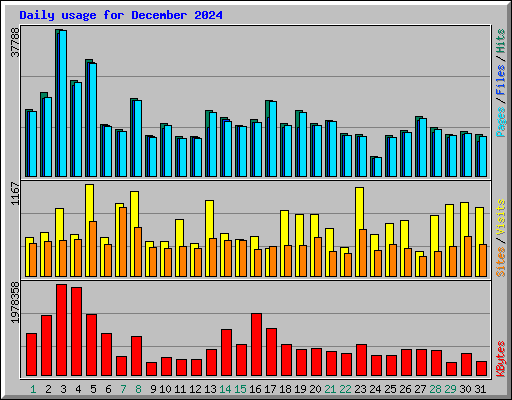 Daily usage for December 2024