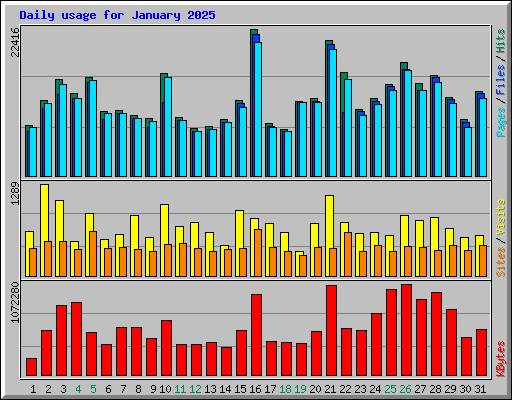 Daily usage for January 2025