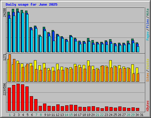 Daily usage for June 2025