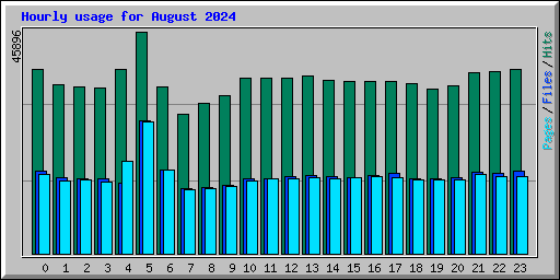 Hourly usage for August 2024
