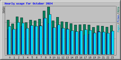 Hourly usage for October 2024