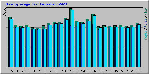 Hourly usage for December 2024