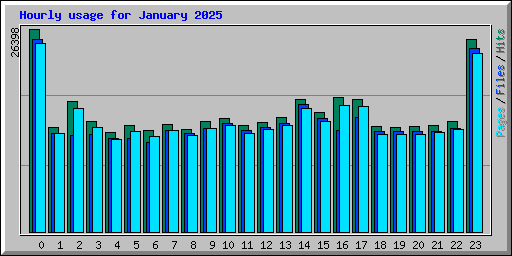 Hourly usage for January 2025