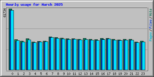 Hourly usage for March 2025