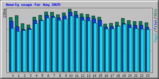 Hourly usage for May 2025