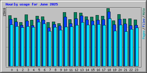 Hourly usage for June 2025