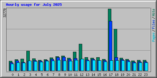 Hourly usage for July 2025