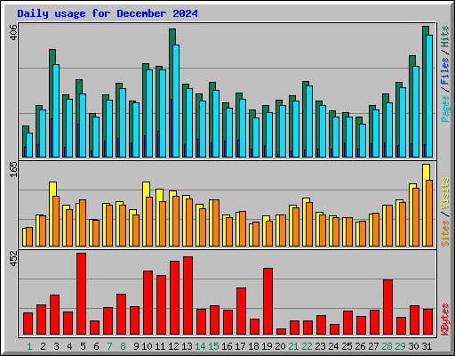 Daily usage for December 2024