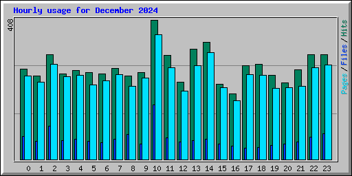 Hourly usage for December 2024