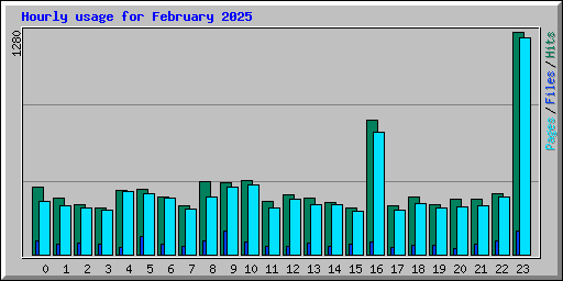 Hourly usage for February 2025