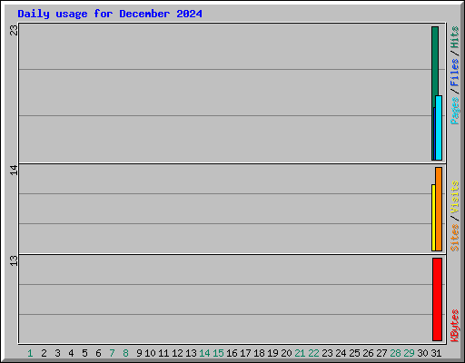 Daily usage for December 2024