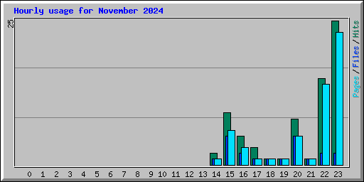Hourly usage for November 2024