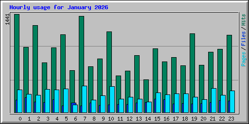 Hourly usage for January 2026