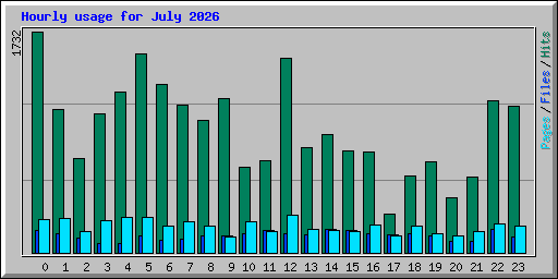 Hourly usage for July 2026