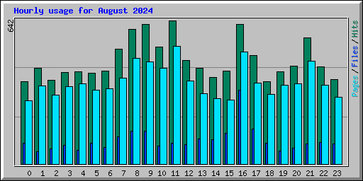 Hourly usage for August 2024