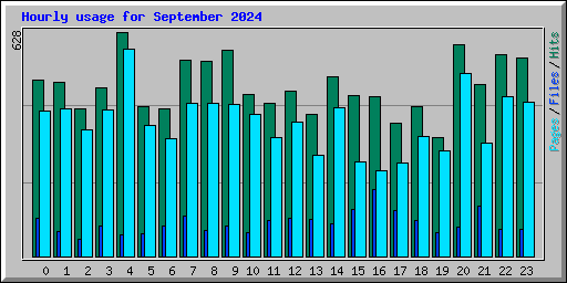 Hourly usage for September 2024