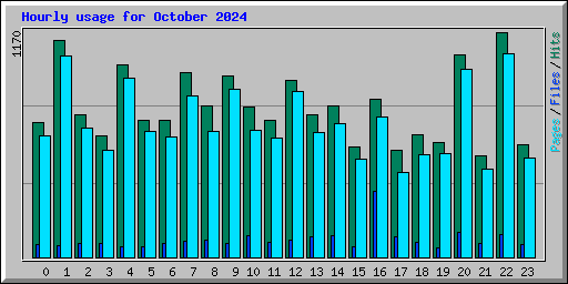 Hourly usage for October 2024
