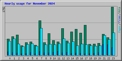 Hourly usage for November 2024