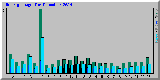 Hourly usage for December 2024