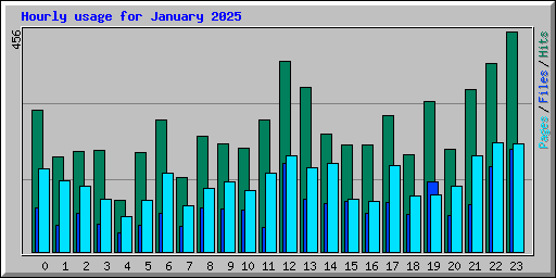 Hourly usage for January 2025