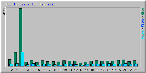 Hourly usage for May 2025