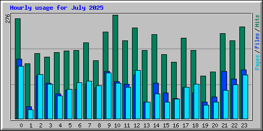Hourly usage for July 2025