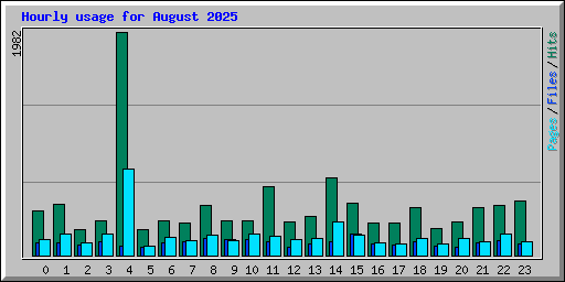 Hourly usage for August 2025