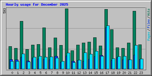 Hourly usage for December 2025
