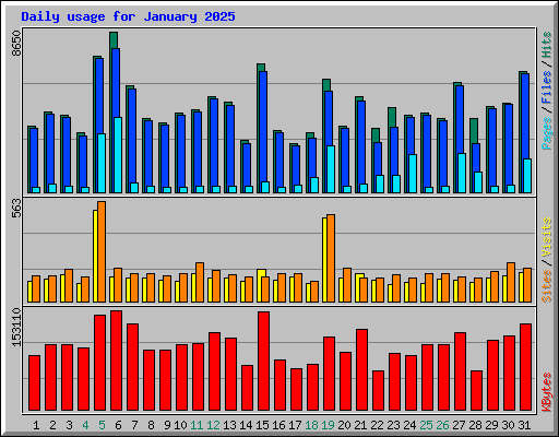 Daily usage for January 2025