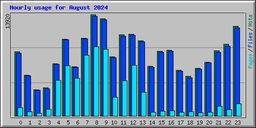 Hourly usage for August 2024