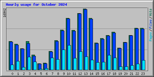 Hourly usage for October 2024