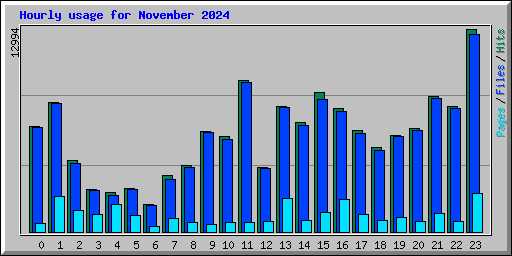 Hourly usage for November 2024