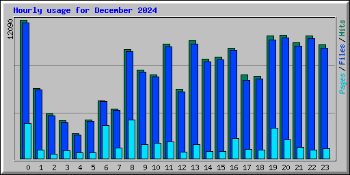 Hourly usage for December 2024