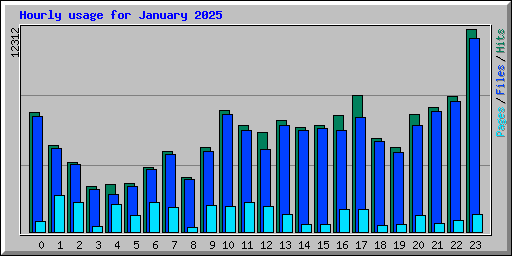 Hourly usage for January 2025
