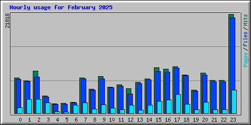 Hourly usage for February 2025