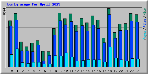 Hourly usage for April 2025