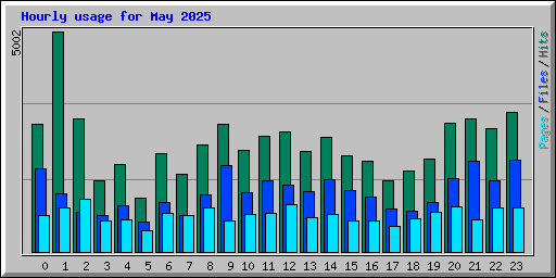 Hourly usage for May 2025