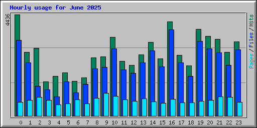 Hourly usage for June 2025