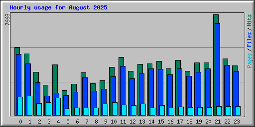 Hourly usage for August 2025