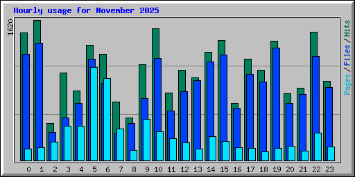 Hourly usage for November 2025