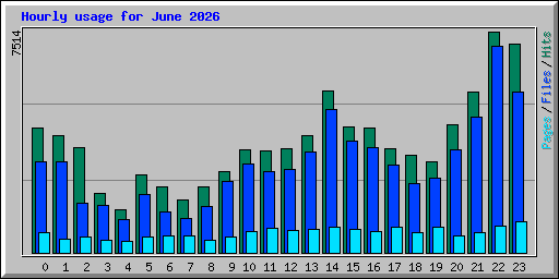 Hourly usage for June 2026